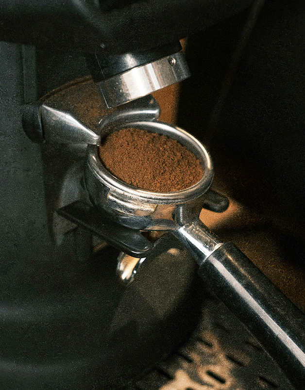 Brew